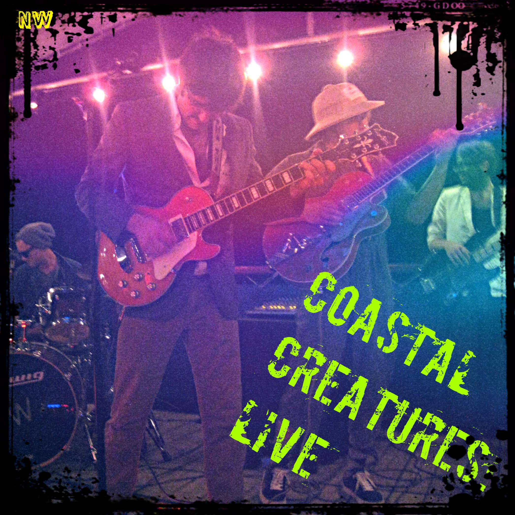 Coastal Creatures Live
