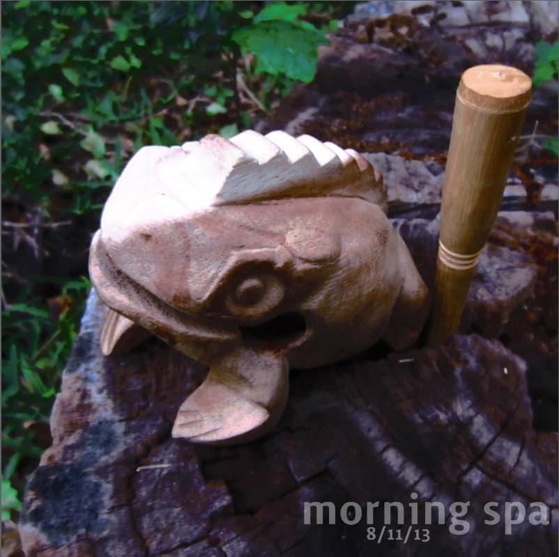 Morning Spa 8/11/13