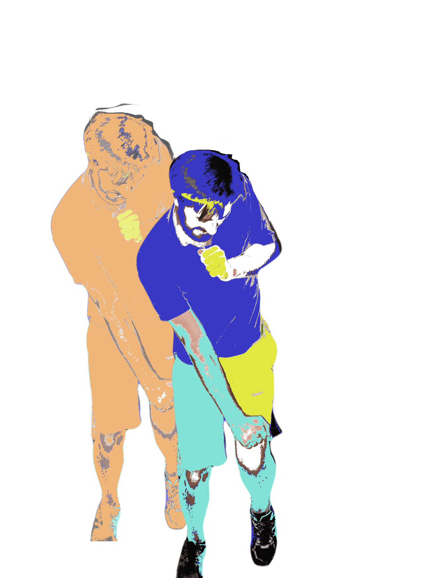 Shadow Bodies